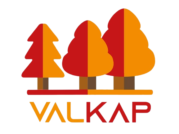 Valkap Logo